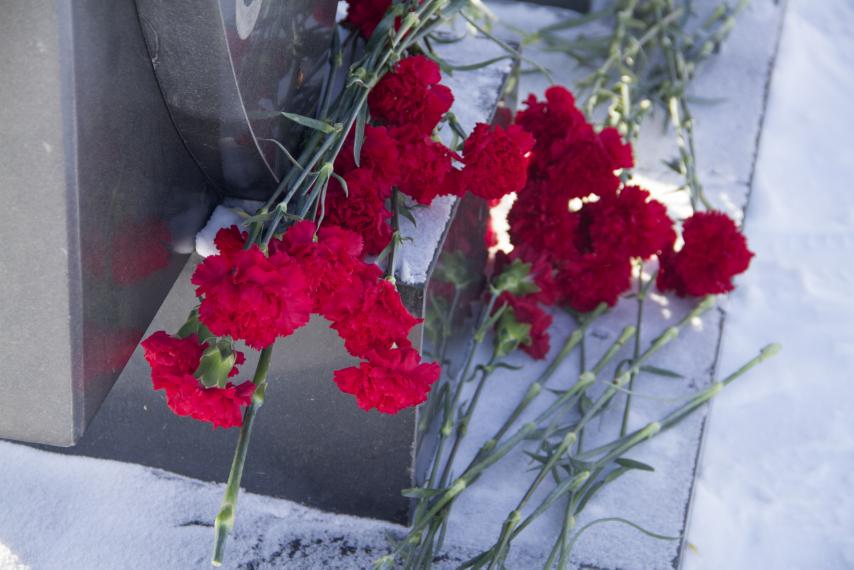 изображение_viber_2021-02-20_15-48-15