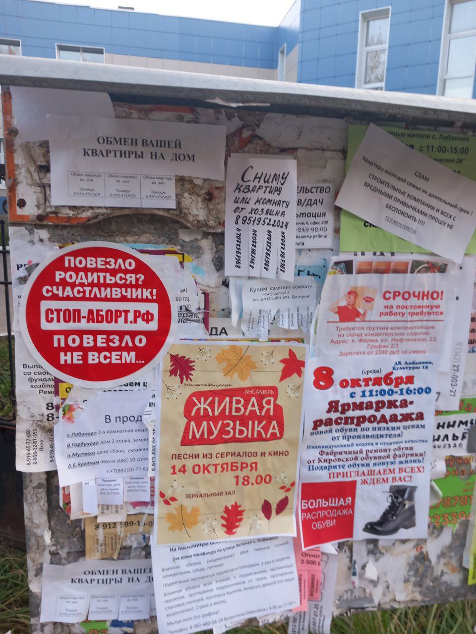 photo_2025-10-09_10-11-44